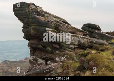 Gritstone reizt an Den Roaches im Peak District National Park Stockfoto