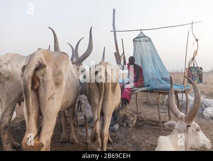 Mundari Stammmann sitzt am frühen Morgen auf einem Bett in einem Viehlager, Central Equatoria, Terekeka, Südsudan Stockfoto