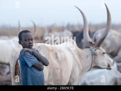 Mundari Stamm Junge inmitten langer Hörner Kühe in einem Viehlager, Central Equatoria, Terekeka, Südsudan Stockfoto