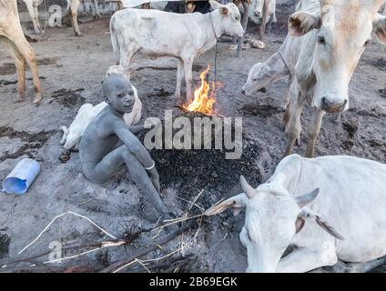 Mundari Stammjunge, der ein Lagerfeuer mit getrockneten Kuhfund macht, um Fliegen und Mücken abzuwehren, Central Equatoria, Terekeka, Südsudan Stockfoto