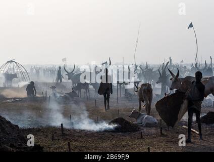 Mundari Stamm Junge inmitten langer Hörner Kühe in einem Viehlager, Central Equatoria, Terekeka, Südsudan Stockfoto