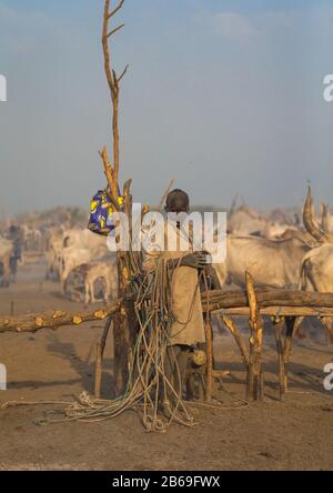 Mundari Stamm Junge inmitten langer Hörner Kühe in einem Viehlager, Central Equatoria, Terekeka, Südsudan Stockfoto