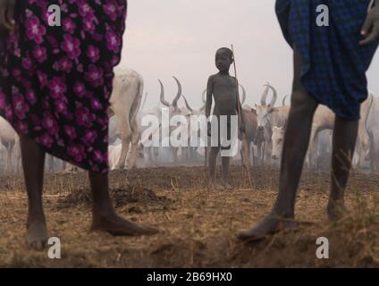 Mundari Stamm Junge inmitten langer Hörner Kühe in einem Viehlager, Central Equatoria, Terekeka, Südsudan Stockfoto