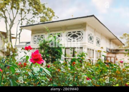 Blick auf den Rosengarten im Garten im Topkapi-Palast Stockfoto