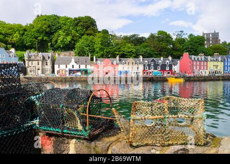 Hummerfallen und bunte Häuser am Hafen von Tobermory in Schottland Stockfoto