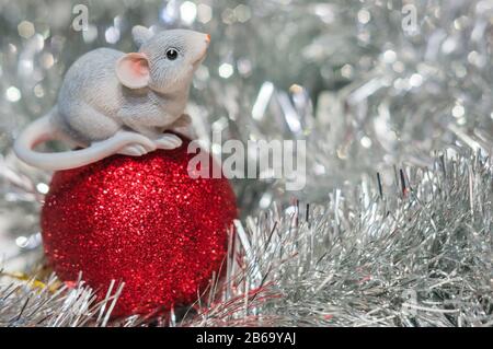 Spielzeugratte auf rotem Weihnachtsball dicht oben auf glänzendem silbernem Hintergrund mit Bokeh. Das Jahr der Ratte ist 2020 nach dem östlichen Kalender Stockfoto