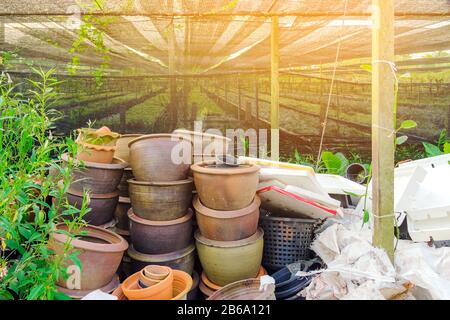 Stapel Töpfe mit vielen alten Pflanzen, die nicht in Verwendung vor dem orchid Zucht Garten sind. Stockfoto