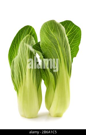 Pak choi (Brassica rapa chinensis) isoliert auf Weiß Stockfoto