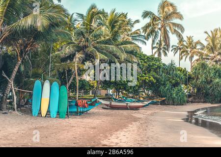 Surfbretter, die senkrecht mit ihren Ellbogen auf einem Holzständer im Sand an einer Surfstation in Sri Lanka Hikkaduwa und traditionellen Angelobo stehen Stockfoto