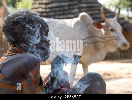 Alte Frau des Larim-Stammes raucht Pfeife vor einer Kuh, Boya Mountains, Imatong, Südsudan Stockfoto