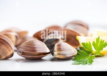 Frische Muscheln auf weißem Hintergrund in Nahaufnahme Stockfoto