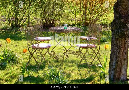 Tisch und Stühle aus Retro-Metall im Garten unter einem alten Baum. Stockfoto