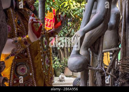 Saraswati-Idol bei kumartuli und Katze Stockfoto