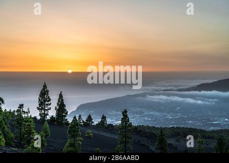 Blick nach Westen von Llano del Jable bei Sonnenuntergang über einheimischen kanarischen Pinienwald und junge Vulkanlandschaft, La Palma, Kanarische Inseln Stockfoto