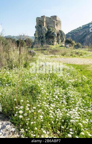 Das Mseilha Fort aus dem 17. Jahrhundert wurde auf einem Kalkfelsen, dem Libanon, errichtet Stockfoto