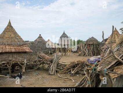 Traditionelles Toposa-Stammdorf mit Hütten und Getreidespeicher, Namorunyang State, Kapoeta, Südsudan Stockfoto