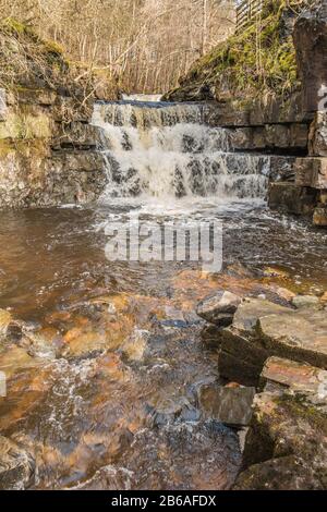 Ein malerischer unbenannter Wasserfall am Bow Lee beck in Bowlees, Teesdale, Großbritannien Stockfoto