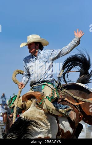 Ein Nahbild eines Rodeo-Cowboys, der bei einem Rodeo in Alberta Canada in einer Bronc-Veranstaltung mit Sattel reitet Stockfoto