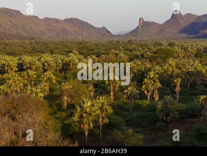 Oase vor den Boya-Bergen, Boya-Bergen, Imatong, Südsudan Stockfoto