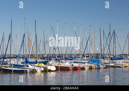 Segelboote am Steinhude-/Steinhuder Meer, Mardorf, Neustadt am Rübenberge, Niedersachsen, Deutschland Stockfoto