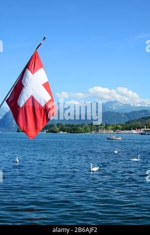 Luzerner, SCHWEIZ - 3. JULI 2014: Die Schweizer Flagge fliegt vom Sern eines Bootes auf dem Vierwaldstättersee. Schwäne und Boote auf dem See mit schneebedeckten alpen i Stockfoto