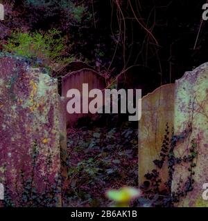 Unheimliche Grabsteine, überwuchert und vergessen, vielleicht vermitteln sie ein Gefühl von Übernatürlich oder Sterblichkeit. Stockfoto