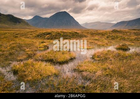 Die blaue Silhouette von Buachaille Etive Mor in der Ferne unter einem stürmischen Himmel, mit marschem Wasser und Gras im Vordergrund. Glencoe, Scottish Highl Stockfoto