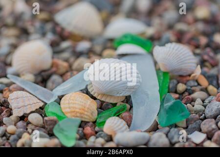 Glas- und Seashellstücke Stockfoto