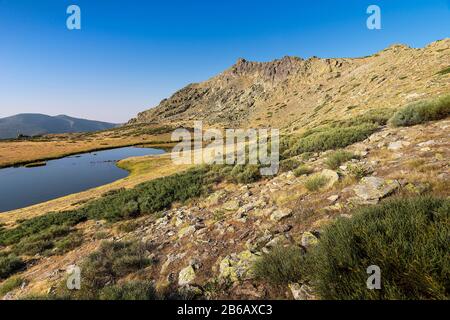 Lagune in Peñalara Stockfoto