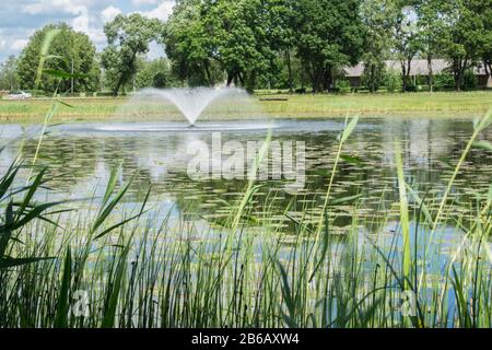 Springbrunnen mit Spritzwasser in einem Teich mit Grünbäumen und Gras Stockfoto