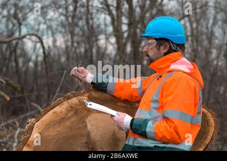 Forsttechniker, der mit einem Notizblock in der Zwischenablage neben einem Baumlogan in der Walde posiert, ist zuversichtlich, dass männliche Fachmann Daten auf dem Feld sammelt Stockfoto