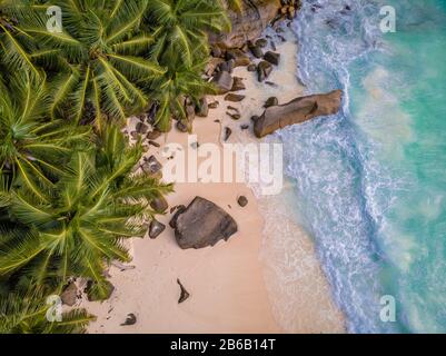 Tropische Inseln auf den Seychellen, Insel Praslins Seychellen, zwei Paare, die mit Palmen am tropischen Strand spazieren gehen Stockfoto