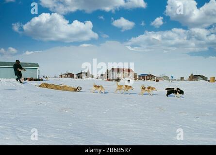 Der einheimische Eskimo Hunter macht sich mit seinem Hund tom auf die Winterjagd Stockfoto