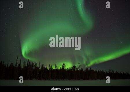 Wunderschöne grüne Nordlichter (Aurora Borealis) in Luosto, Lappland, Finnland mit klarem Himmel und Sternen. Stockfoto