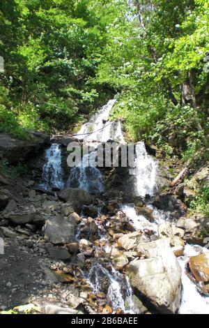 Bergwasserfall zwischen Wald und Bäumen Stockfoto