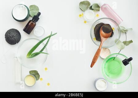 Aloe vera Blätter, schwarzes Tonpulver, Eukalyptusblätter, Vitamin C, Blumenextrakt, Flaschen mit Seren, Tonika, Sahne- und Gelgläser auf weißem Grund. Das Konzept der Hautpflege, seine Hydrierung. Stockfoto