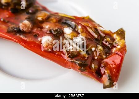 Makrofotografie mit weißem Schimmel auf einer verdorbenen, sonnengetrockneten Tomate. Verrottete Tomate auf einem weißen Teller. Verdorbenes Obst und Gemüse. Unsachgemäße Lagerung von Lebensmitteln. Stockfoto