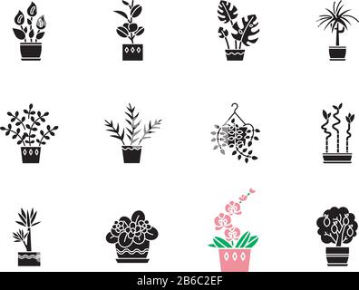 Die schwarzen Glypen-Symbole der Hausanlagen befinden sich auf dem weißen Raum. Innenanlagen. Ficus, Monstera, afrikanisches Violett, glücklicher Bambus. Friede Lilie, pothos, Stubenpalme Stock Vektor