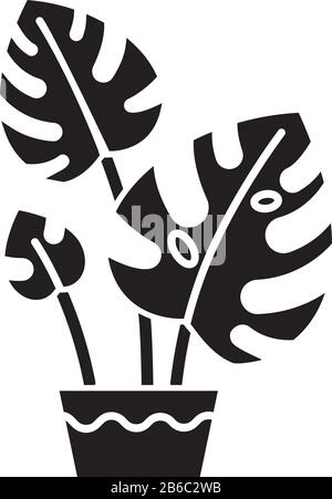 Monstera deliciosa schwarze Glyph-Ikone. Schweizer Käserei. Philodendron. Innenanlage mit gespaltenen Blättern. Dekorative grüne Zimmerpflanze. Silhouettensymbol Stock Vektor