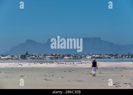 Frau spaziert am sandigen Strand mit der Stadt Melkbosstrand an der Südwestküste und dem Tafelberg im Hintergrund, Südafrika Stockfoto
