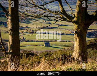 Steinhaus in Landschaft durch Bäume, Ravenscar, North Yorkshire, Großbritannien. Stockfoto