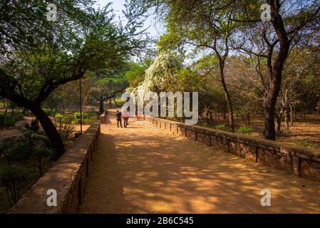 Neu-Delhi, Indien - 24. März 2018: Junges Paar wird morgens im Archäologischen Park Mehrauli fotografiert Stockfoto