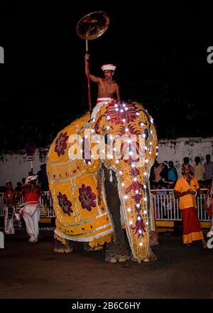 Kandy, Sri Lanka, August 2015: Elefanten und Reiter, die während des Esala Perahera Festivals Teil der Prozession sind Stockfoto