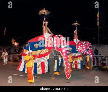 Kandy, Sri Lanka, August 2015: Elefant, der während des Esala Perahera Festivals Teil der Prozession ist Stockfoto