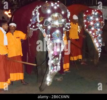 Kandy, Sri Lanka, August 2015: Elefant, der während des Esala Perahera Festivals Teil der Prozession ist Stockfoto