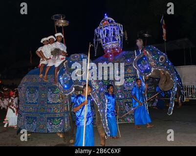 Kandy, Sri Lanka, August 2015: Elefant, der während des Esala Perahera Festivals Teil der Prozession ist Stockfoto