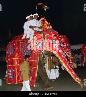 Kandy, Sri Lanka, August 2015: Elefanten und Reiter, die während des Esala Perahera Festivals Teil der Prozession sind Stockfoto