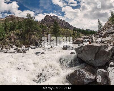 Stürmischer Fluss in den Altai-Bergen mit rasanter Stromstärke und mächtiger Schwelle Stockfoto