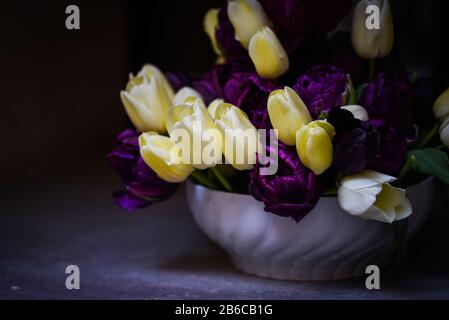 beautiful natural tulips close up view Stockfoto
