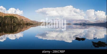 Kanadische Gänse auf Derwent Water im Lake District. Stockfoto